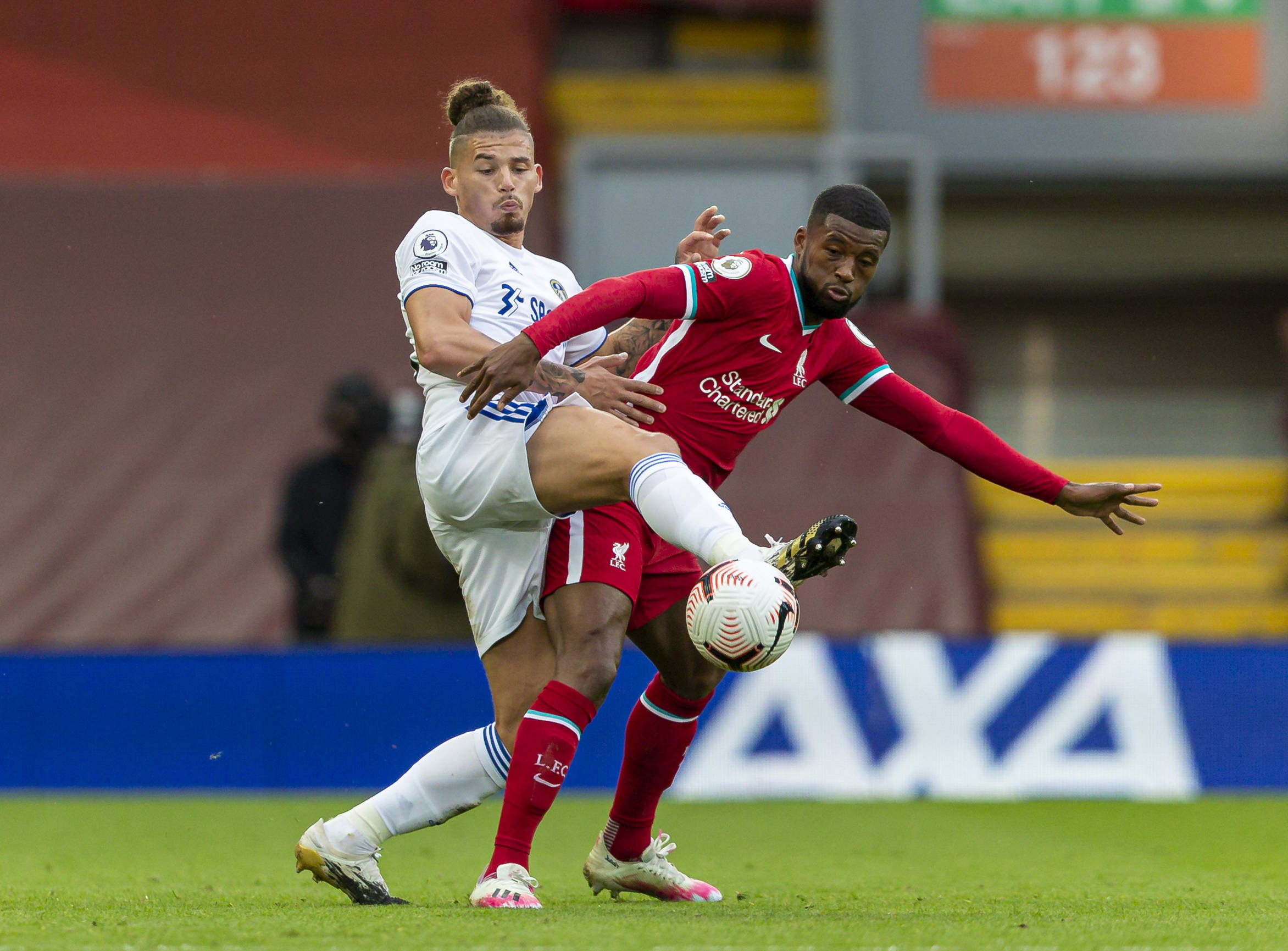 江苏肯帝亚 江苏肯帝亚